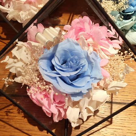 ͺرrr BX117