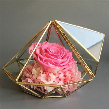 ͺرr@ʯɫ