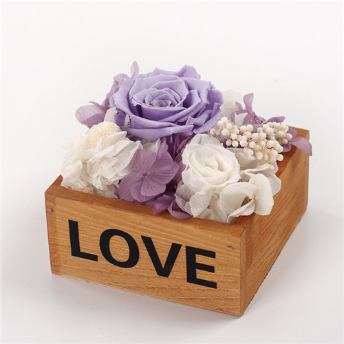 BdԽǅ^(q)rrľl(wi)ove\