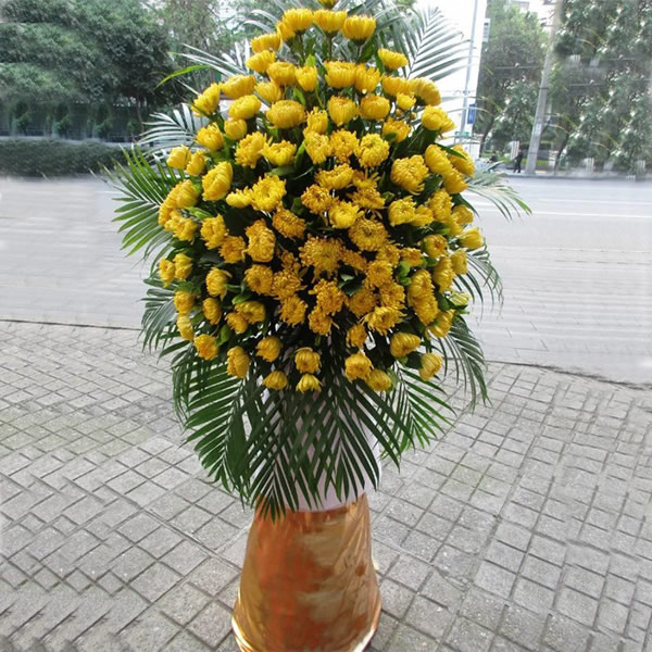 吉林省鮮花-舉踵思望